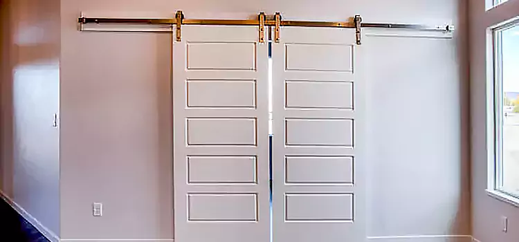 Glass Barn Door with Installation Hardware Kit Rutland